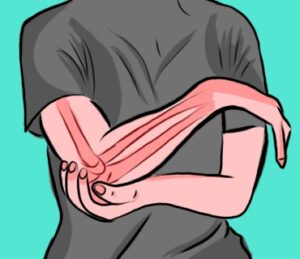 elbow joint