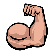 arm biceps flexor