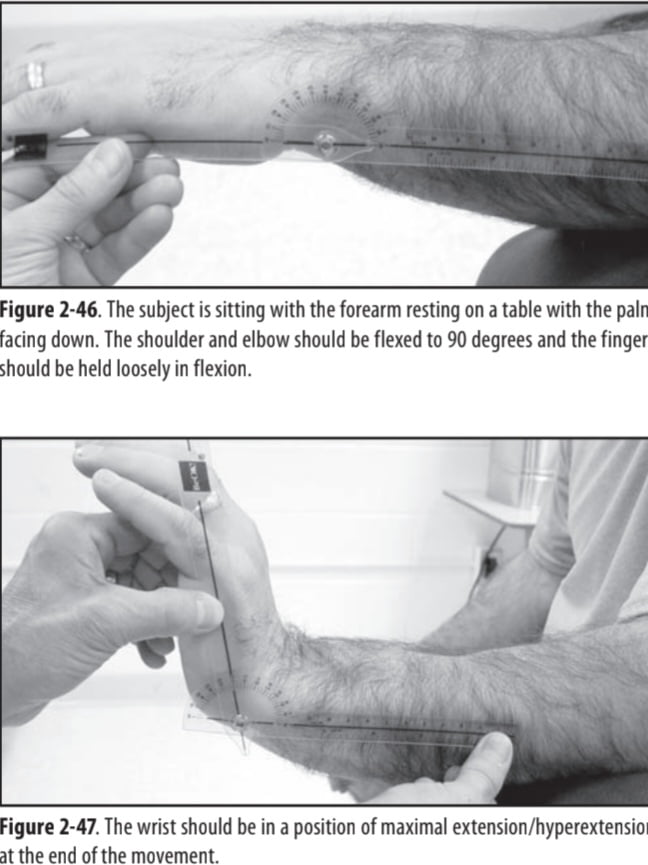 Wrist Extension