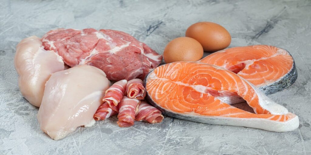 protein sources , protein definition