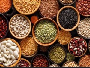 rich protein diet