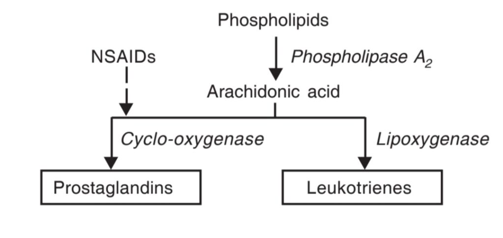 Mechanism of NSAIDS Drugs