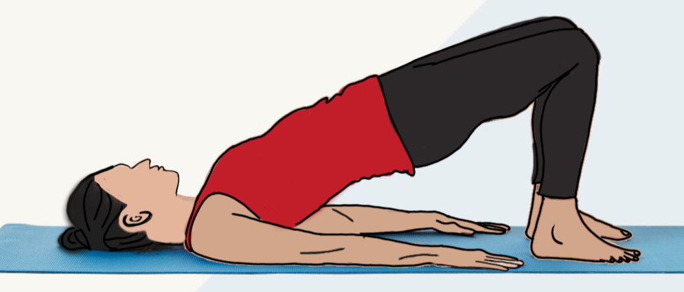 Bridging exercise : back pain exercise