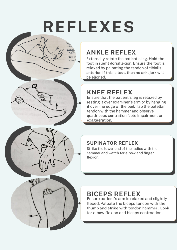 Poster of Reflexes examination in polyneuropathy