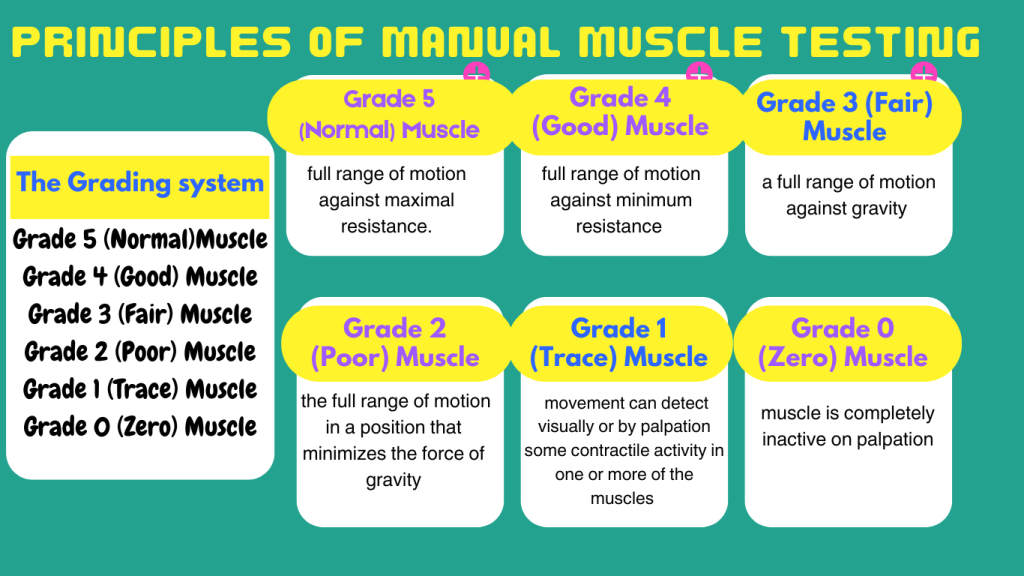 Principles of Manual Muscle Testingβ ,mmt grading