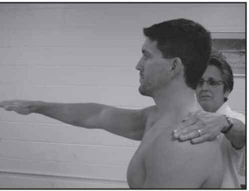shoulder flexion Grades 3/5 , mmt ofshoulder