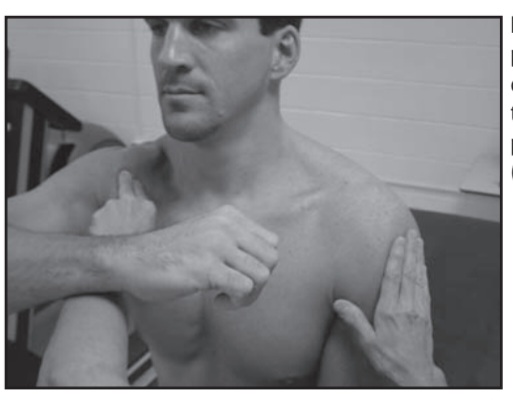 Shoulder flexion Grades 1/5 to 0/5 , mmt of shoulder