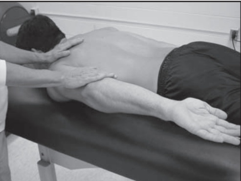 Shoulder extension Grades 5/5 to +3/5, mmt of shoulder