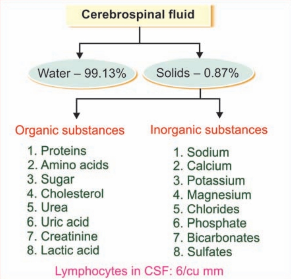 Composition of CSF,