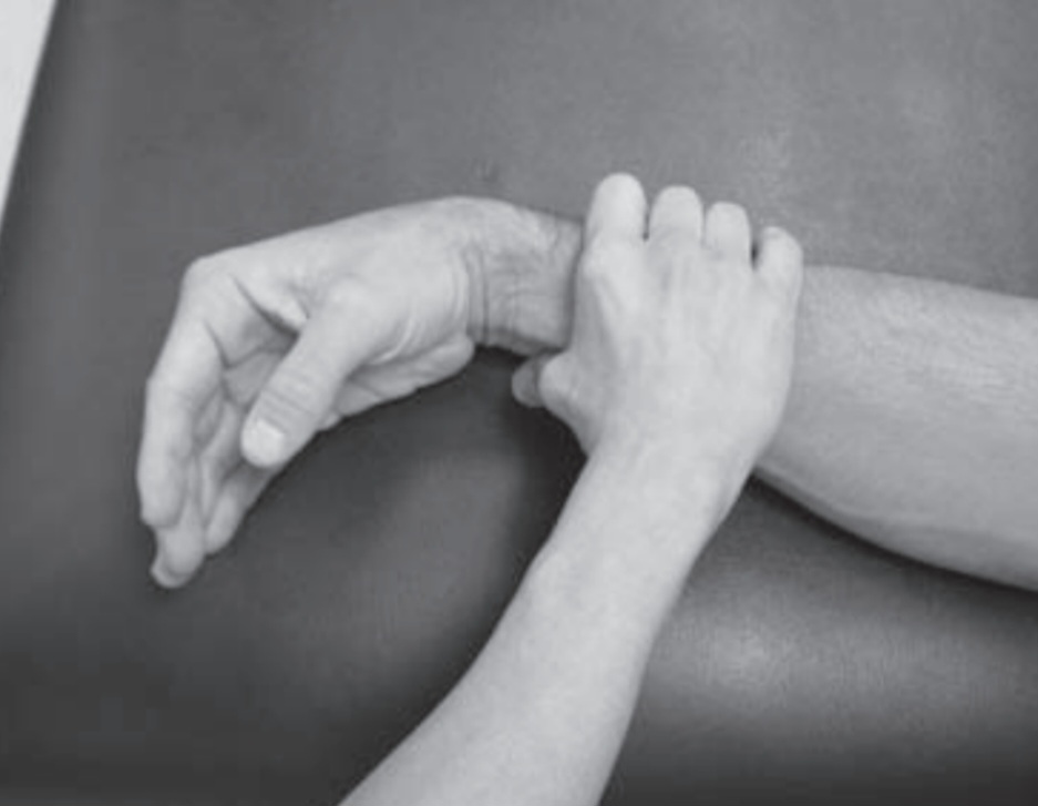 Flexion Grades 2/5 to −2/5:, MMT of wrist joint