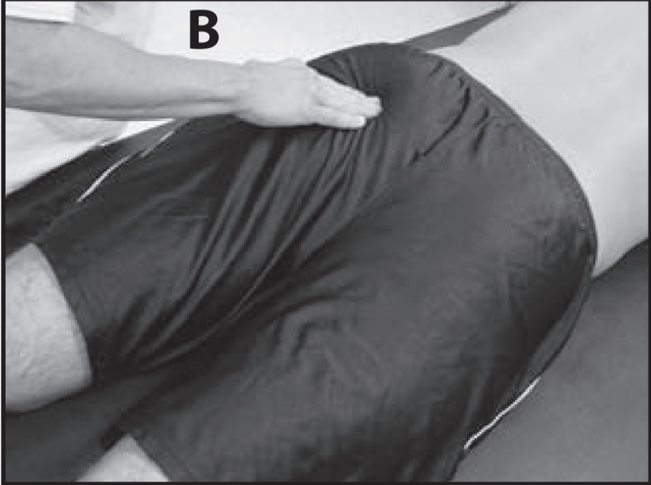 Grades 1/5 to 0/5 :of Hip extension in MMT of Hip joint