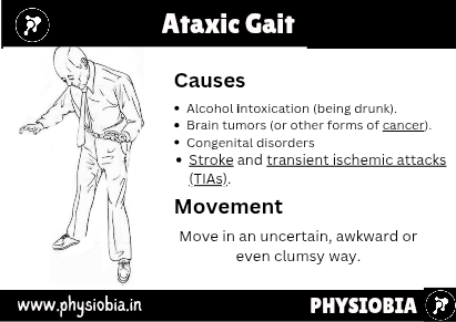 Ataxic Gait