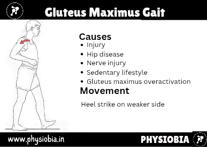 Gluteus Gait