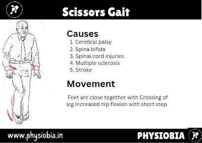 Scissors Gait