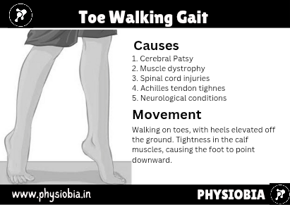 Toe Walking