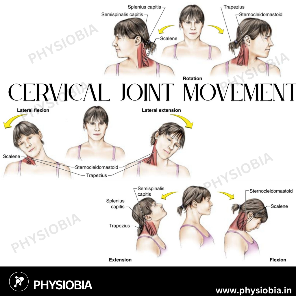 Cervical joint Range of motion