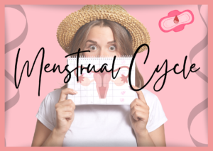 Menstrual Cycle